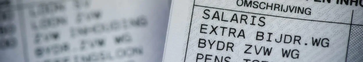 Wet Aanpak Schijnconstructies – maatregelen